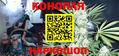стафф Новодвинск