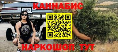 стафф Новодвинск
